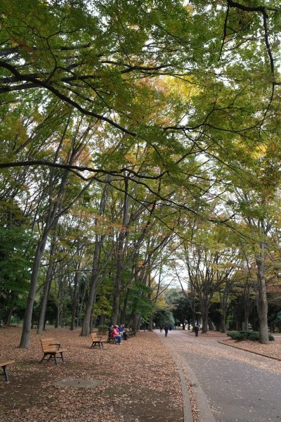 KFP-XE4D7300ts
