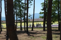 KFP_DSCI0758s