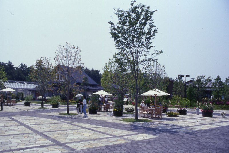 KFP_30-113s
