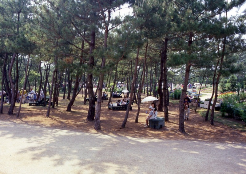 KFP_30-149s