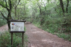 KFP_DSCO8218s