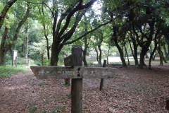 KFP_DSCO8277s