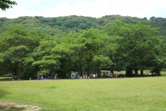 KFP_DSCI1733s