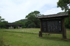 KFP_DSCI1754s
