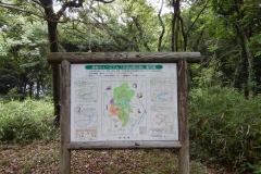 KFP_DSCO8239s