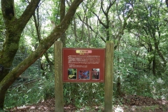 KFP_DSCO8242s