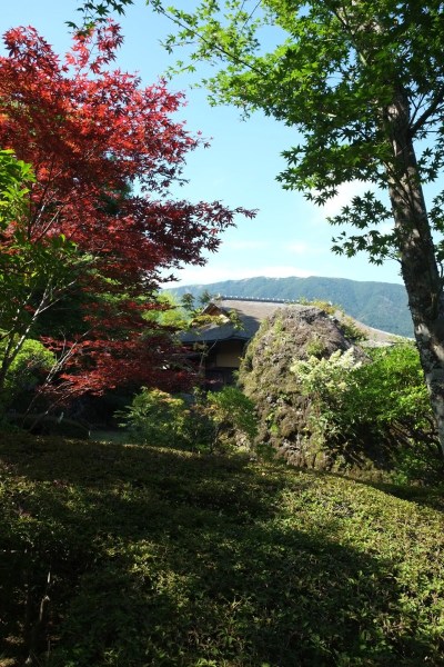 KFP_DSCJ2233s