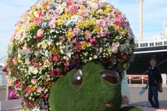 2017春 よこはま